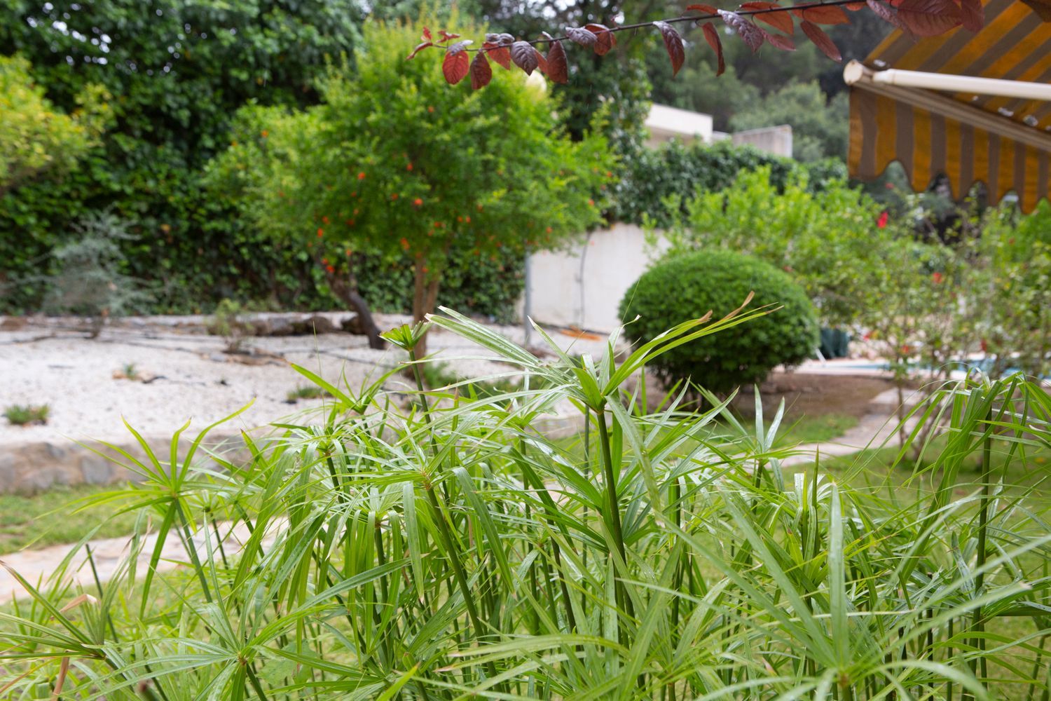 Piso en calle Olivos, 17 - Foto 14