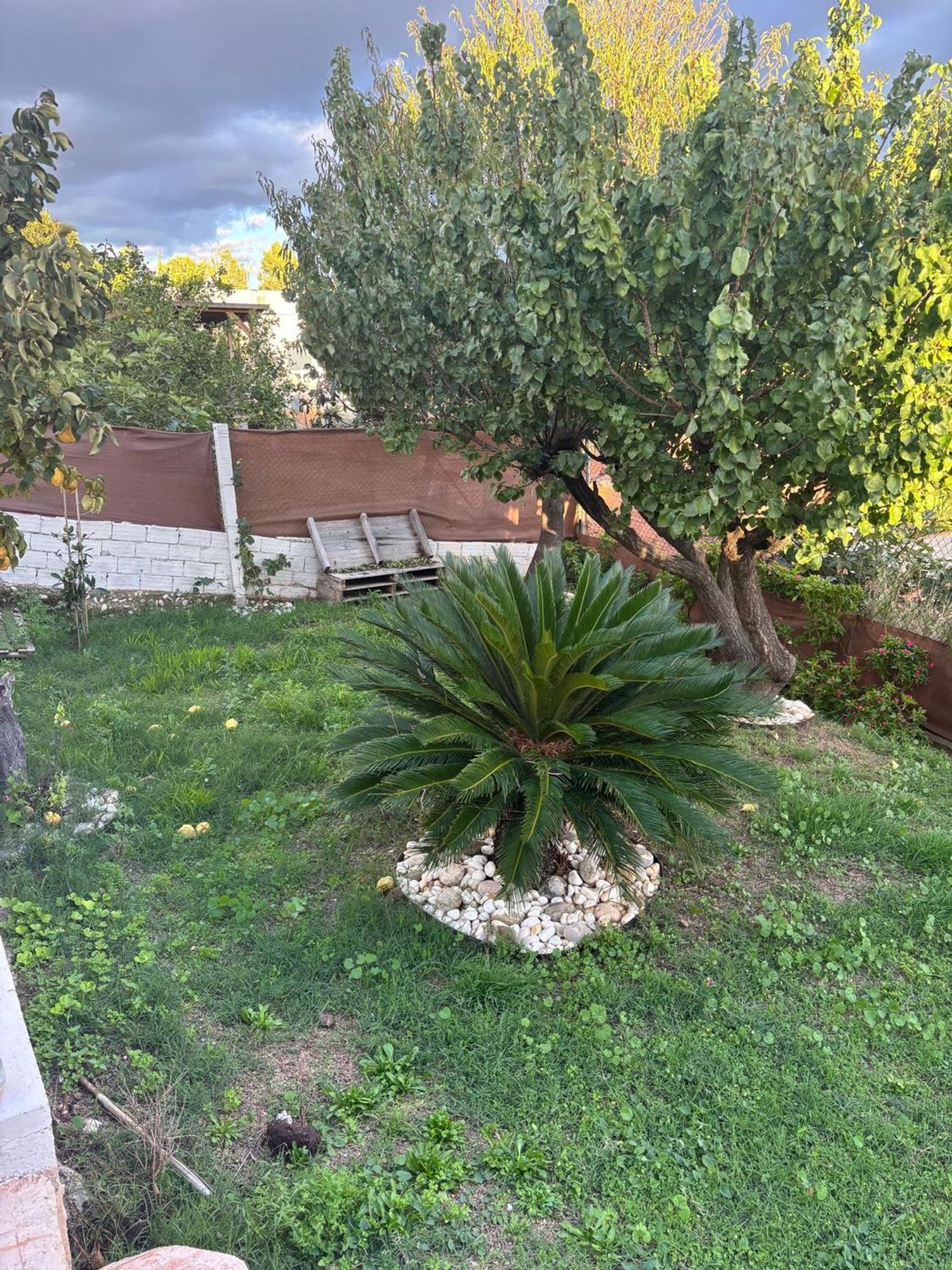 Casa o chalet independiente en Calle d'Algèria, 11, Can Parellada - Foto 17