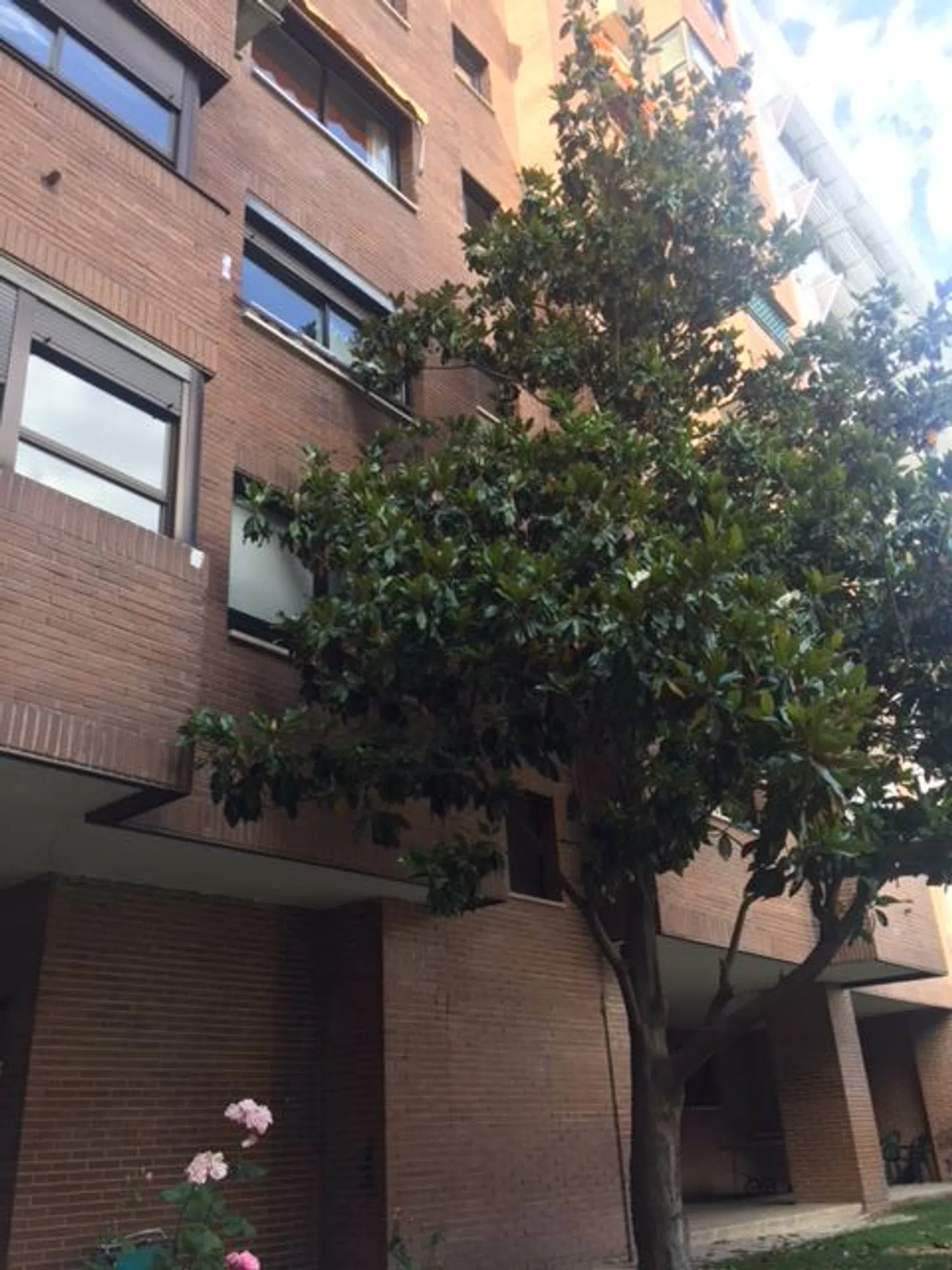 Piso en calle Jazmín, 78 - Foto 9