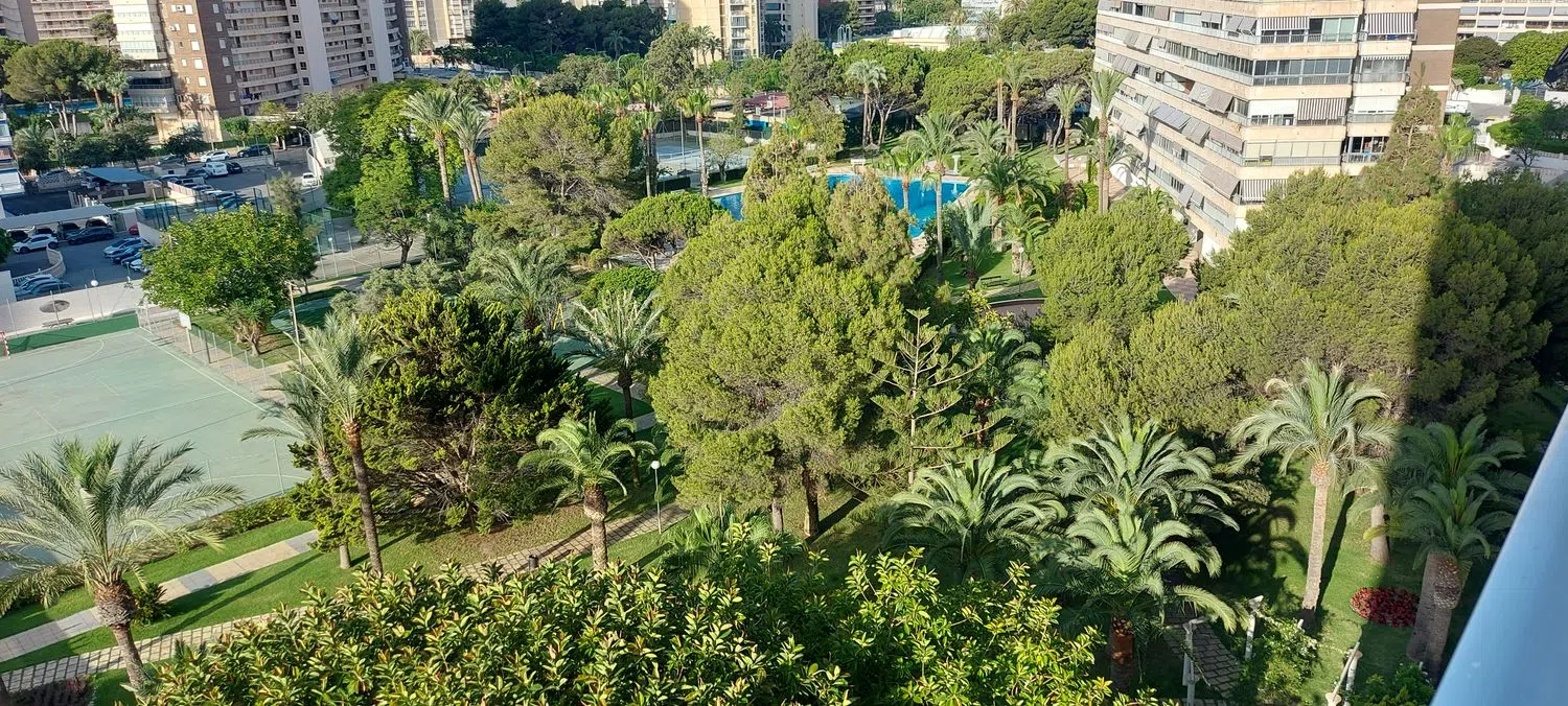 Piso en avenida de la Costa Blanca, 117 - Foto 17