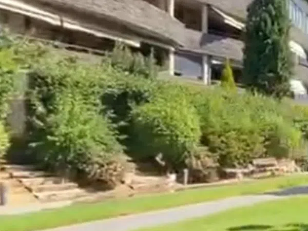 Piso en calle de la Hiedra, 232 - Foto 15