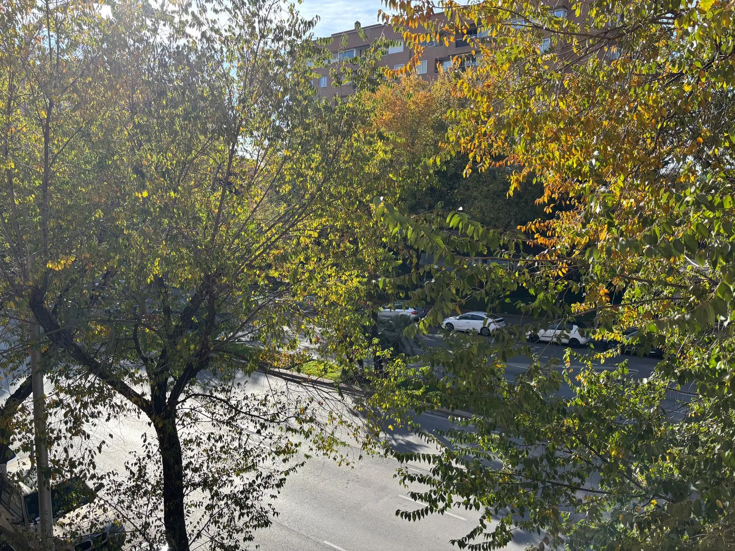 Piso en calle del Doctor Esquerdo, 115 - Foto 26