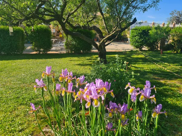 Casa o chalet independiente en Roquetes - Foto 4