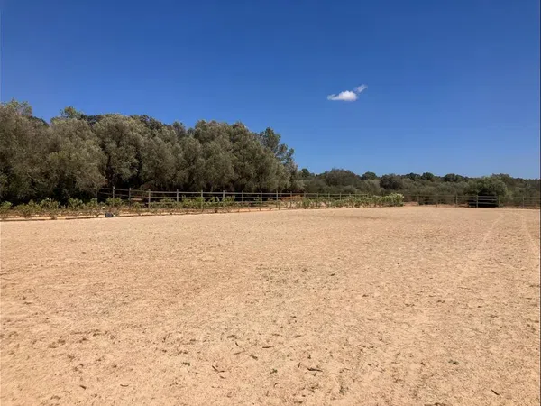 Finca rústica en Diseminado Son Xorc, 426 - Foto 37