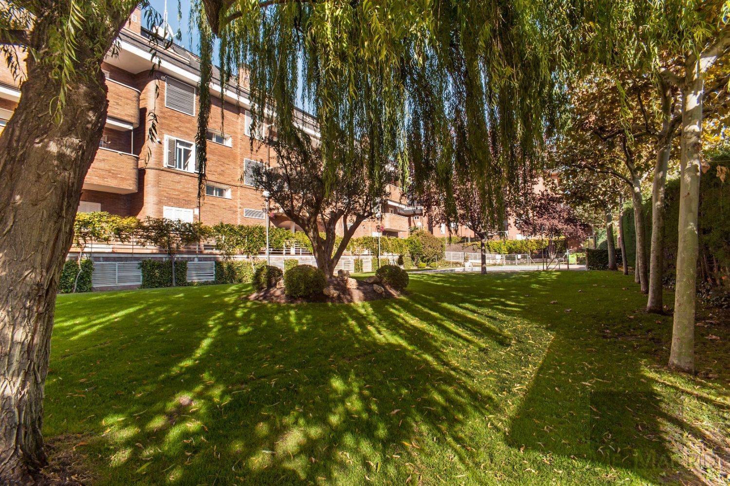 Piso en Avenida de la Oliva, 6, Golf - El Carralero - Foto 4