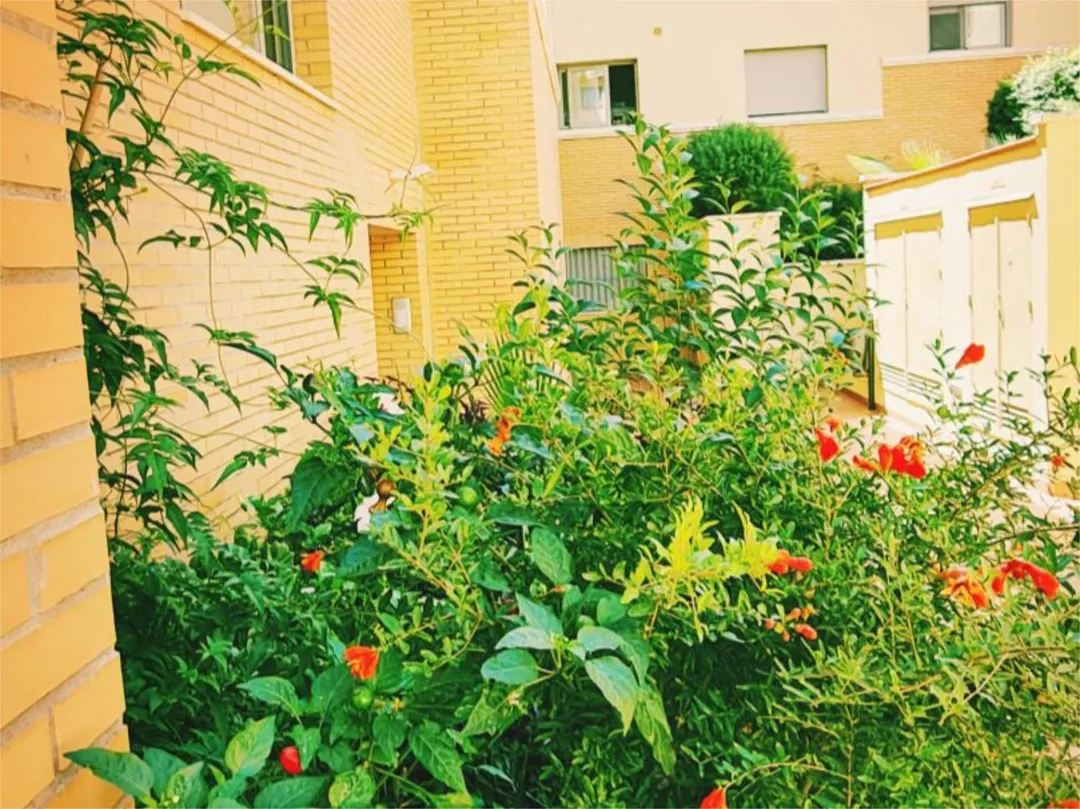 Piso en  Calle Castilla 38 - Foto 2