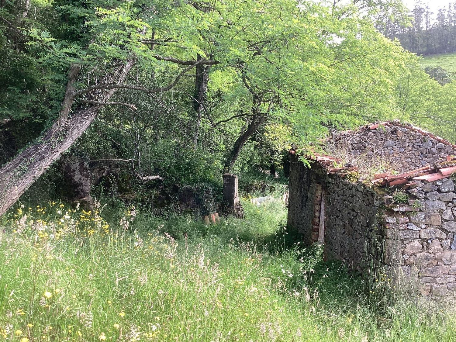 Casa rural en Avenida Alisas, 3 Km - Foto 12