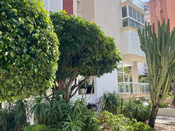 Piso en calle de Viena, 1 - Foto 16