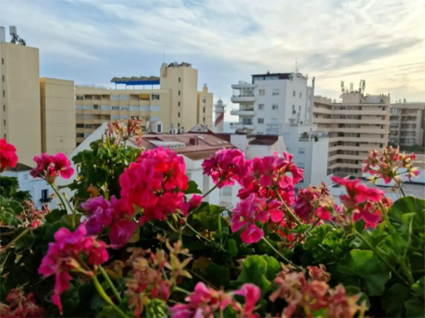 Ático en  Calle Notario Luis Oliver 11 - Foto 13