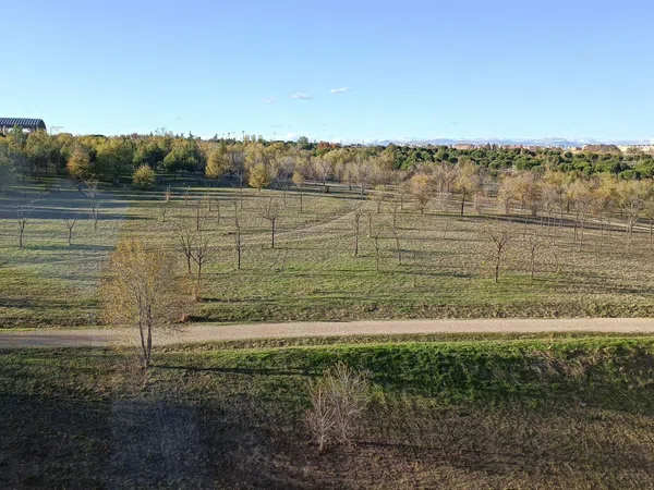 Piso en calle Abad Juan Catalán, 11 - Foto 1