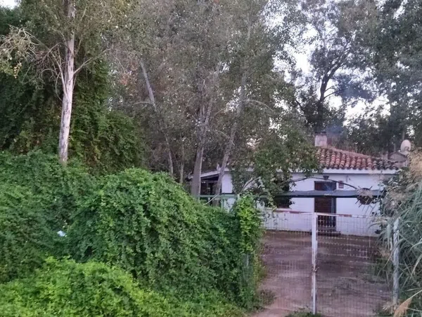 Casa o chalet independiente en Carretera M-404 s/n - Foto 31