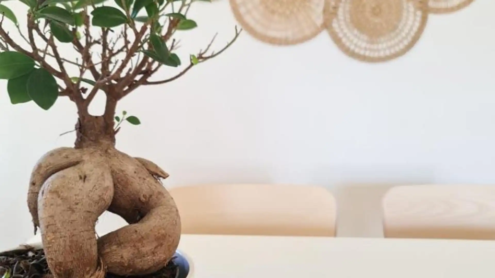 Piso en  Calle de Inglaterra 24 - Foto 19