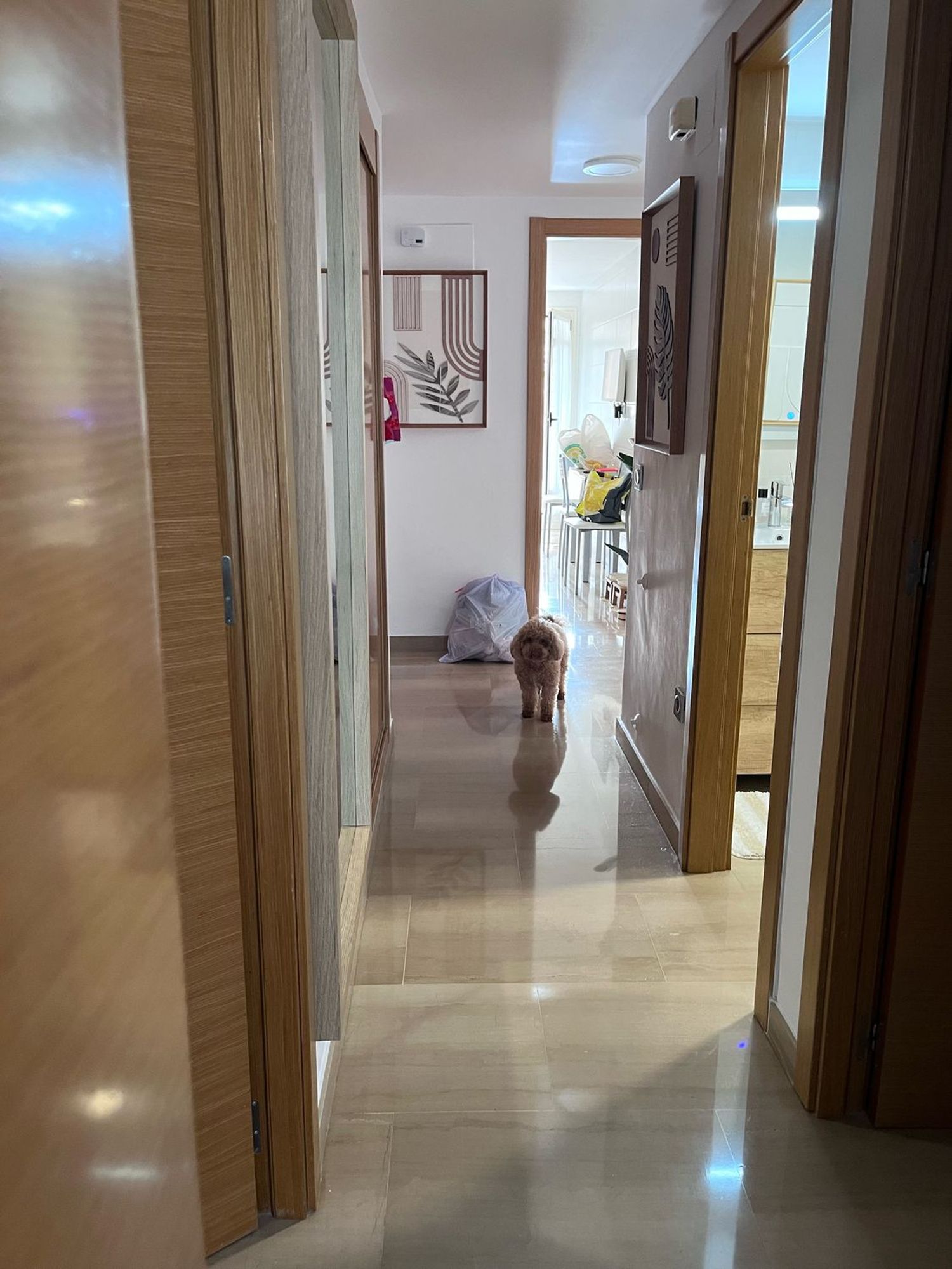 Piso en Paseo de Ricardo Ortega, 2, La Pedrera-Vessanes, La Pedrera-Vessanes - Foto 5
