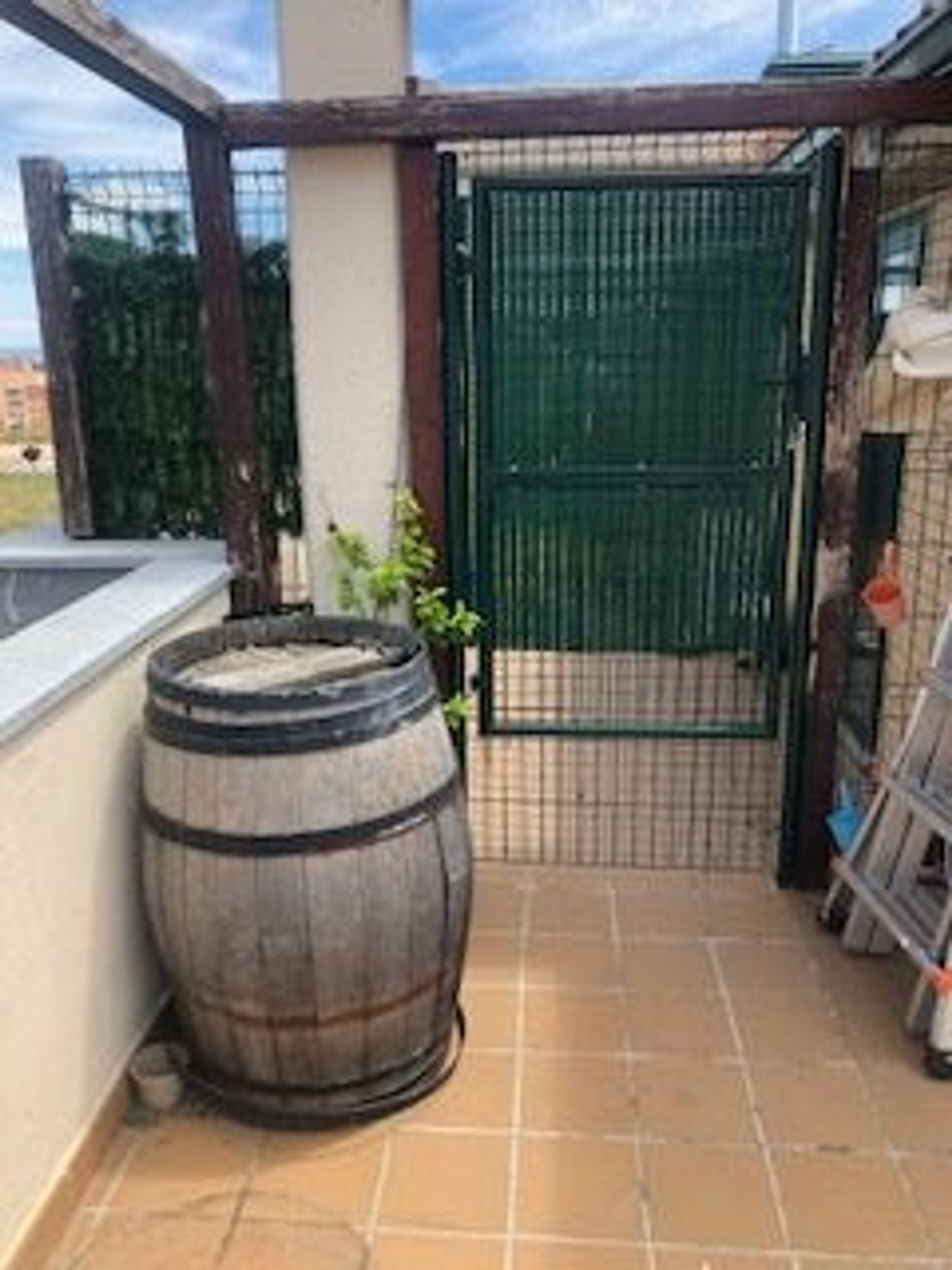 Ático en Calle Torres Quevedo, 100, Aranzana, Aranzana - Foto 20