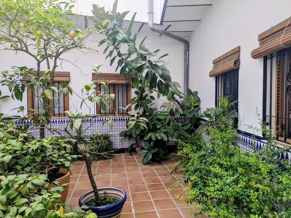 Piso en Calleja del Naranjo, 6, Centro - Foto 18