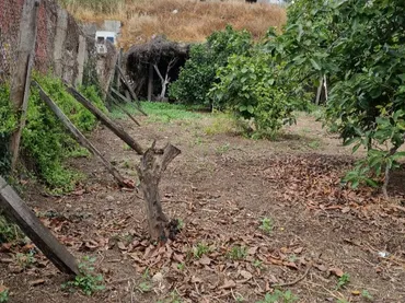 Terreno Residencial en  Lugar Llanos de Cuatro Caminos 122 - Foto 9