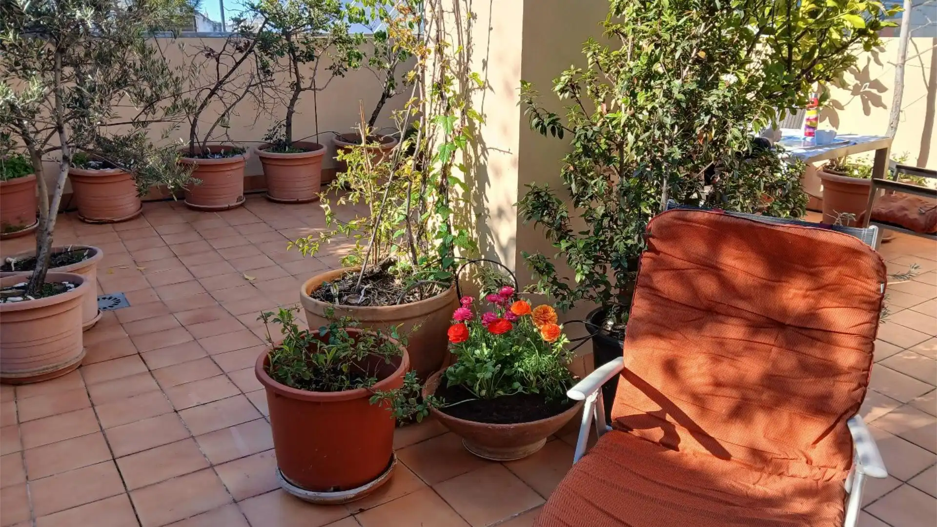 Piso en  Calle Rastro 22 - Foto 2