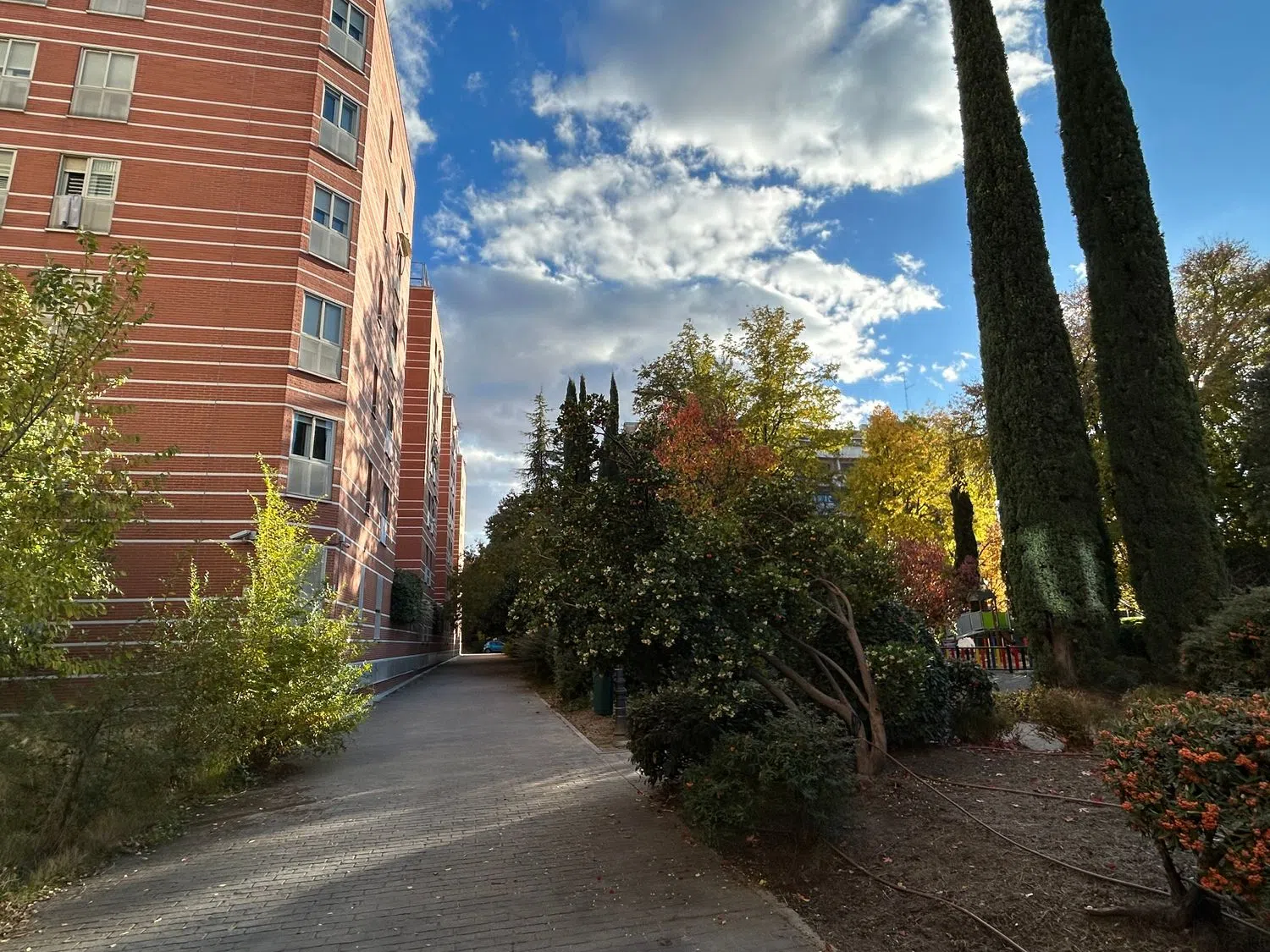 Piso en calle del Eucalipto, 11 - Foto 24