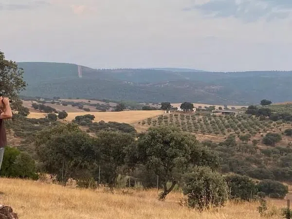 Cortijo en Cortijo en Camino de Majada Alta s/n - Foto 6