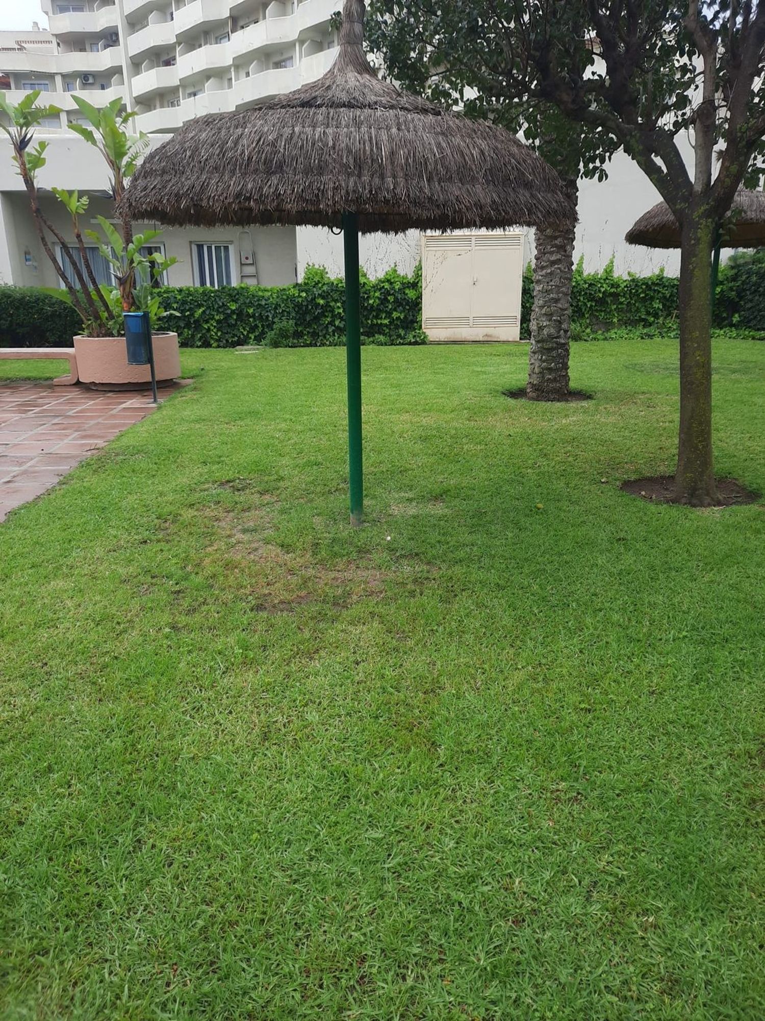 Piso en Avenida del Parque, 3 - Foto 11