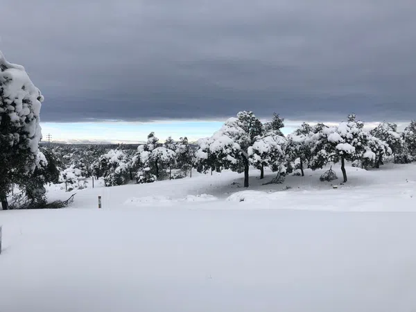 Piso en calle de José Bastos, 9 - Foto 1