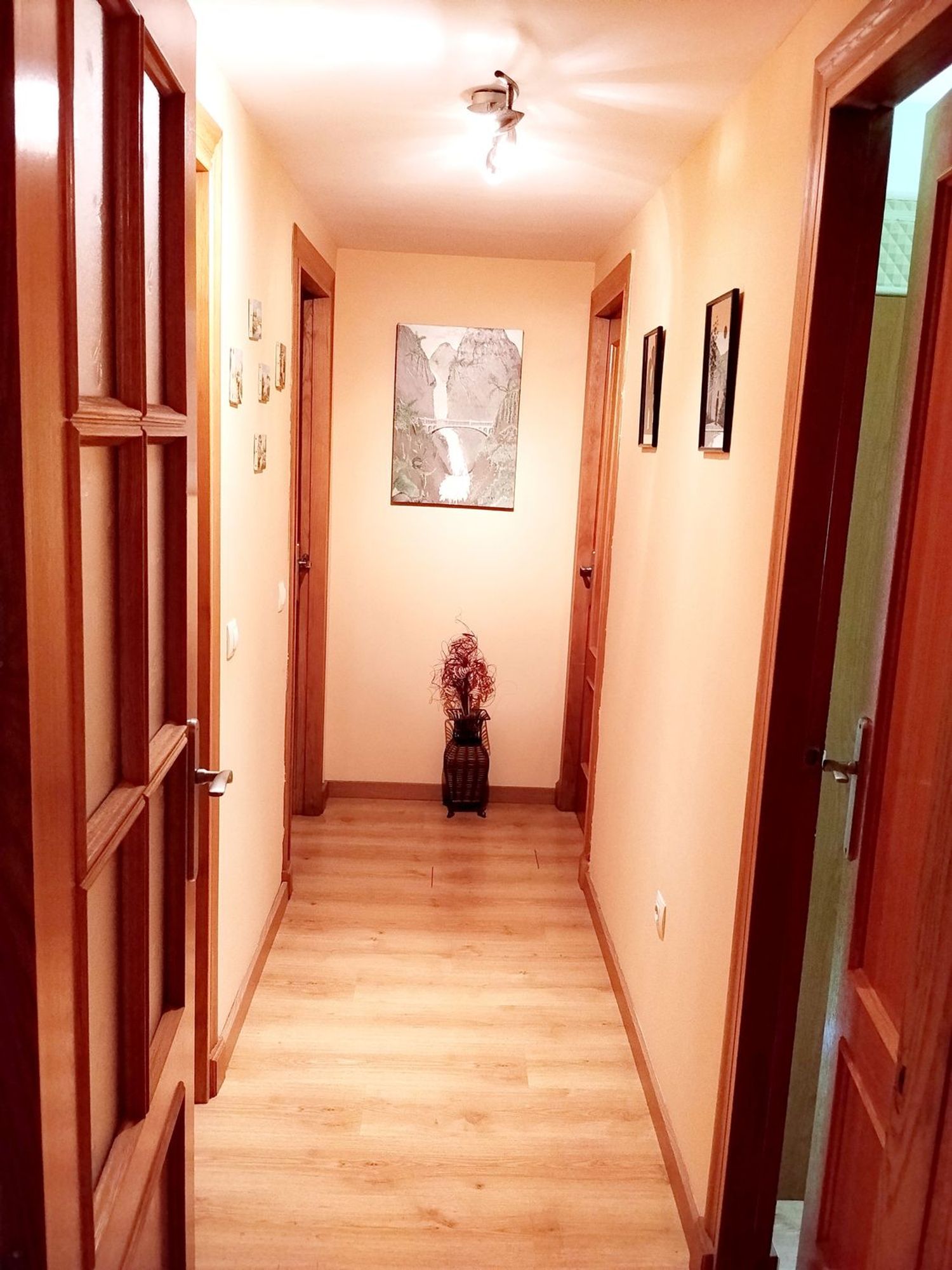 Piso en Calle Hermanos Alférez, 13, Plaza de la Luz - Foto 7