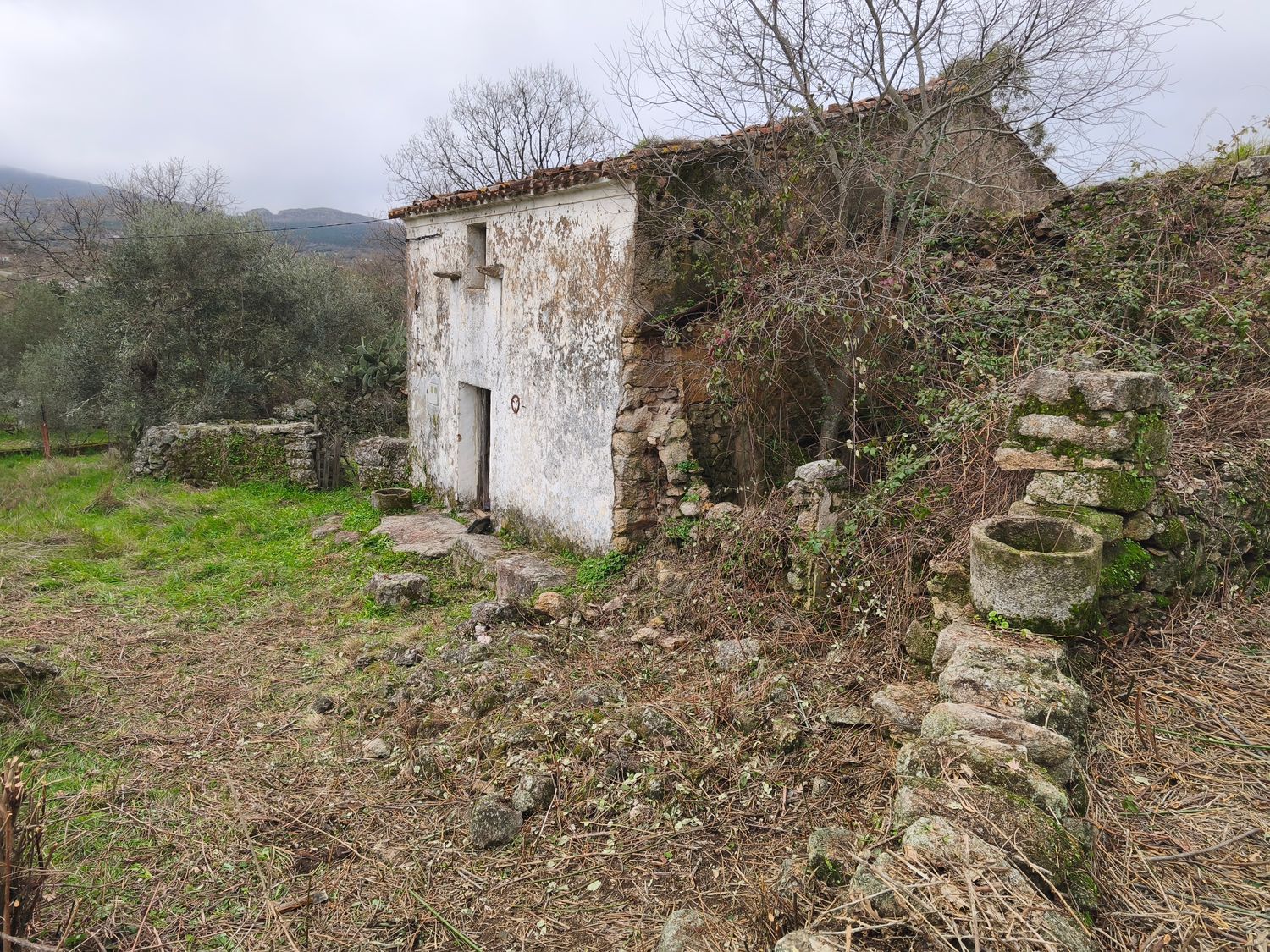 Finca rústica en Poblado los Arroyos de Abajo, 39 poligonoparcela - Foto 27