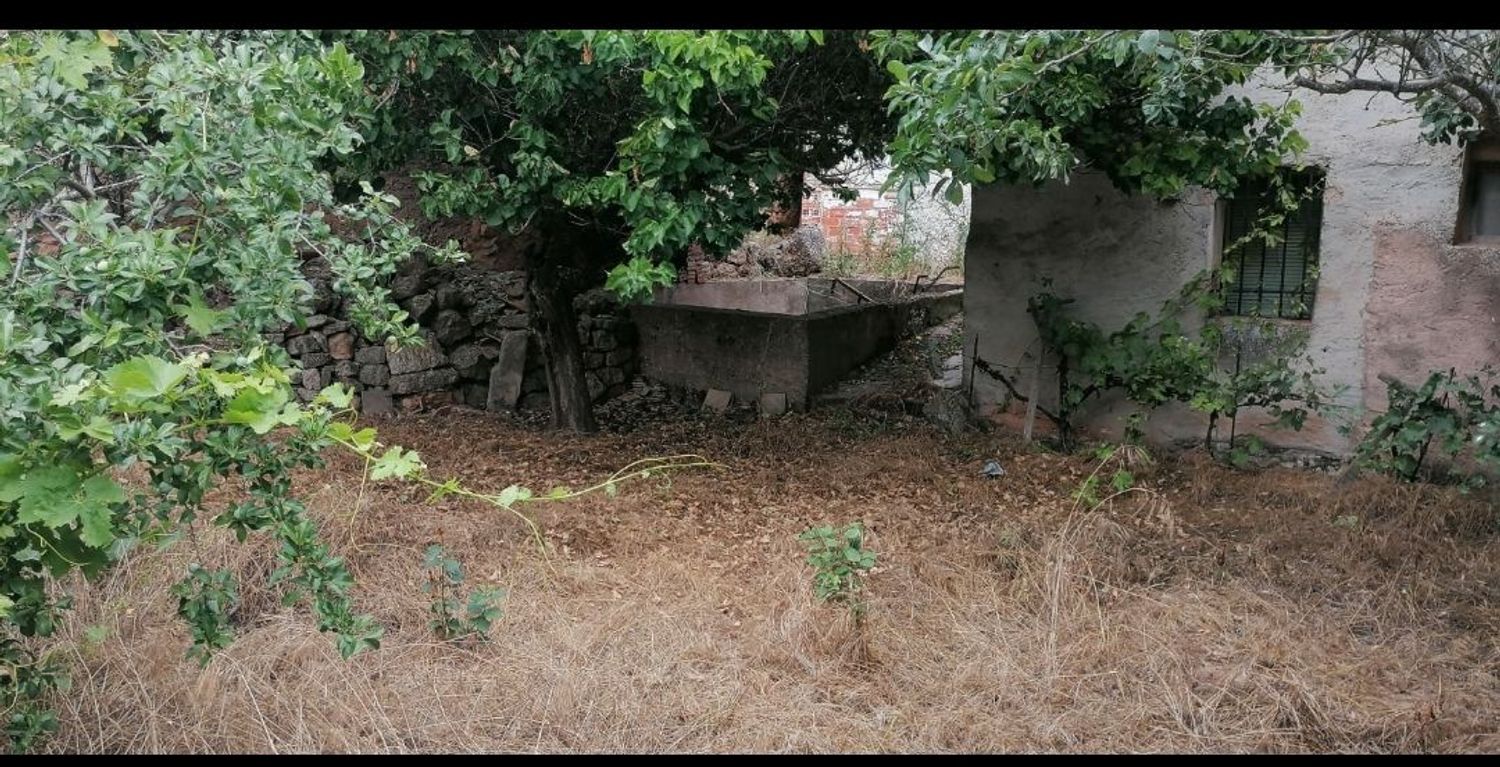 Casa de pueblo en Reina Juana s/n - Foto 7