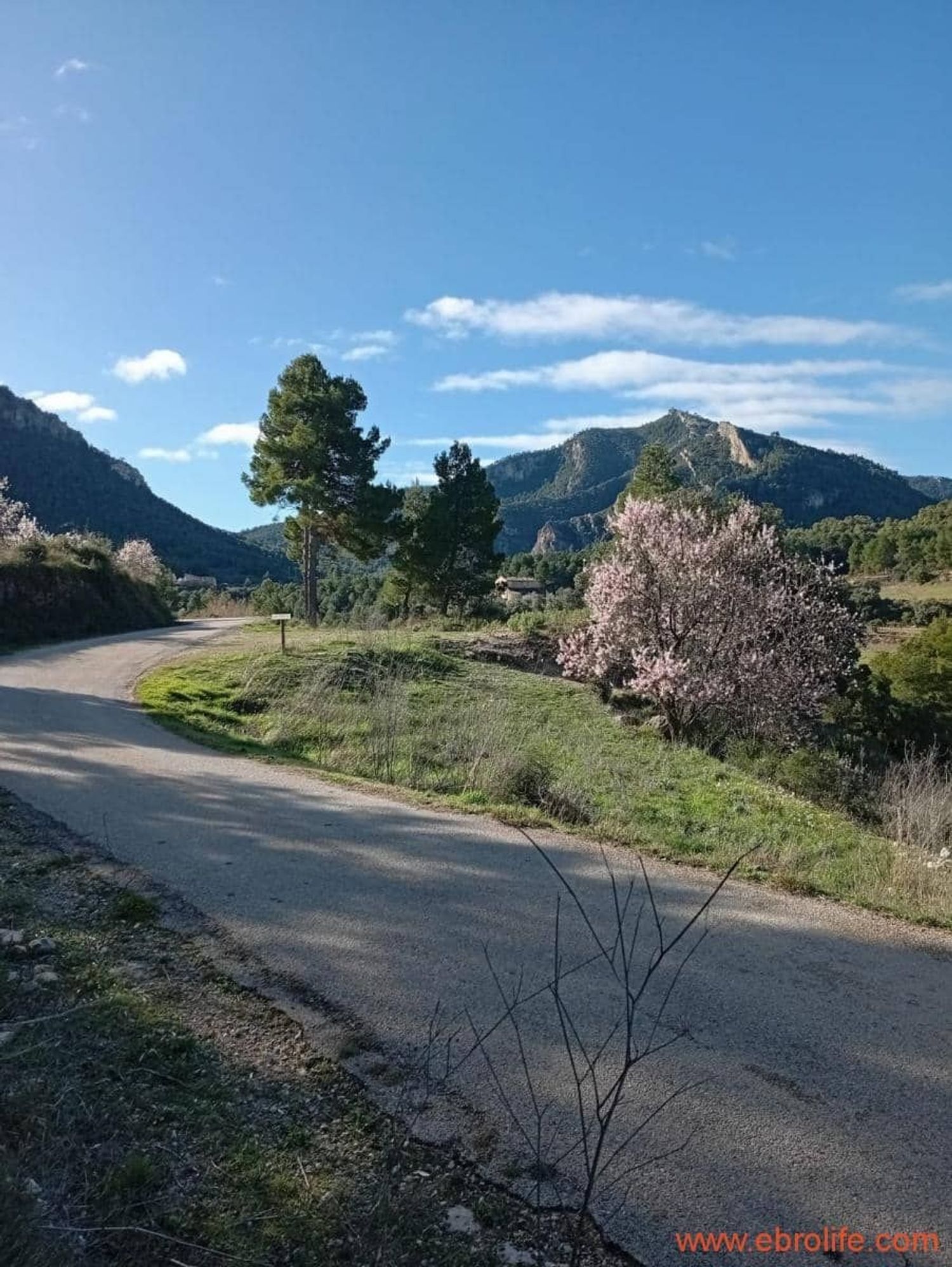Masía en Masía en Camino del Pantano, 34 - Foto 2