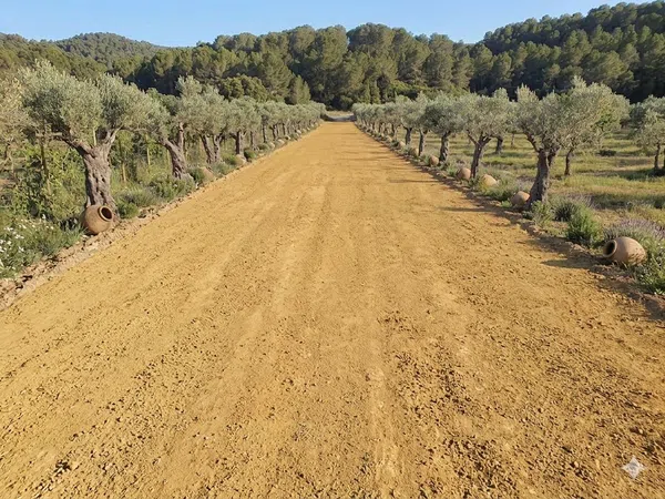 Finca rústica en Son Servera - Foto 10