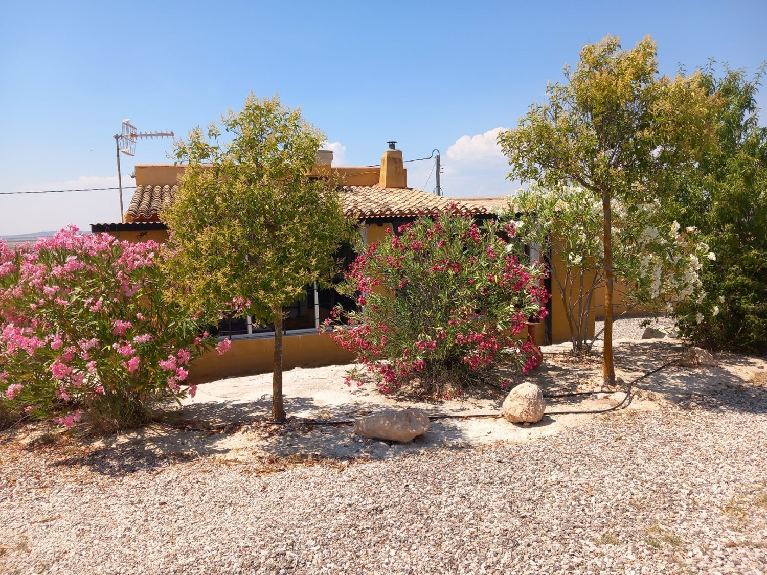 Casa o chalet independiente en Umbria Peñas Blancas Yecla, 31 PoligonoParcela - Foto 17