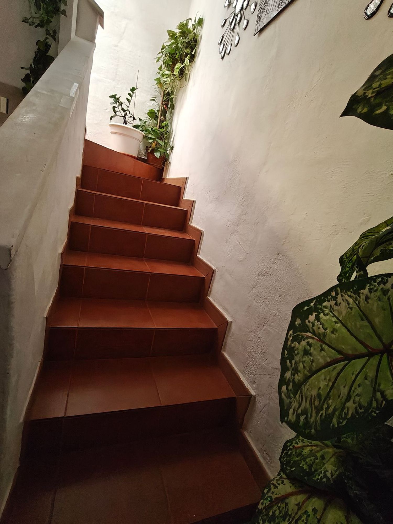 Chalet adosado en avenida Jose Antonio Tavio, 19 - Foto 17