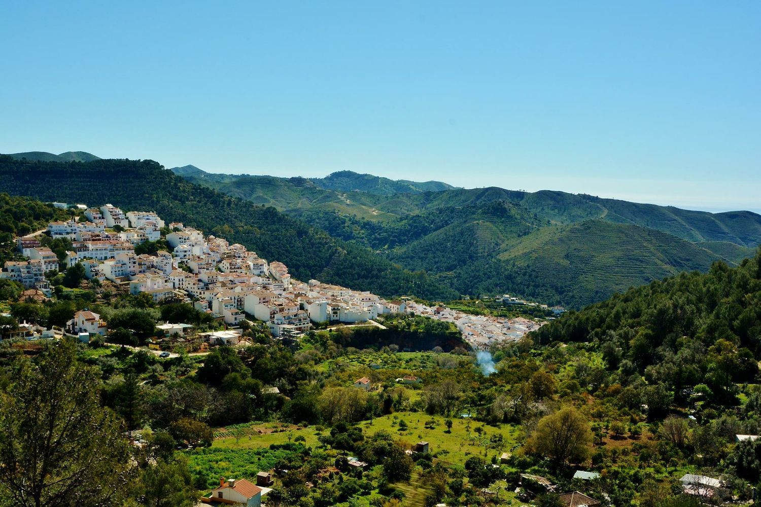 Casa independiente en calle Diseminado s/n sn - Foto 24