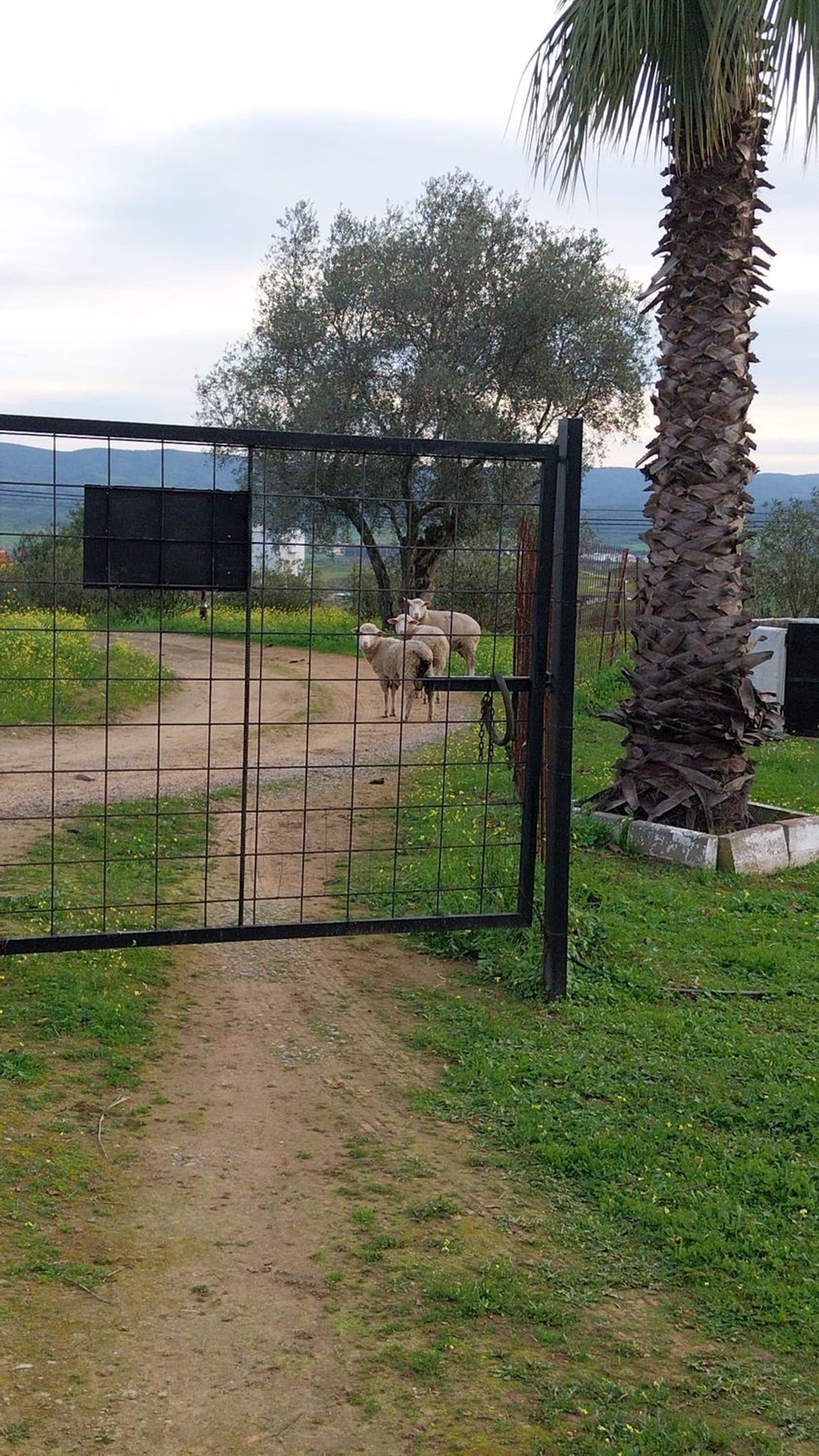Casa rural en Polígono 19, 69 Parcela 69 - Foto 29