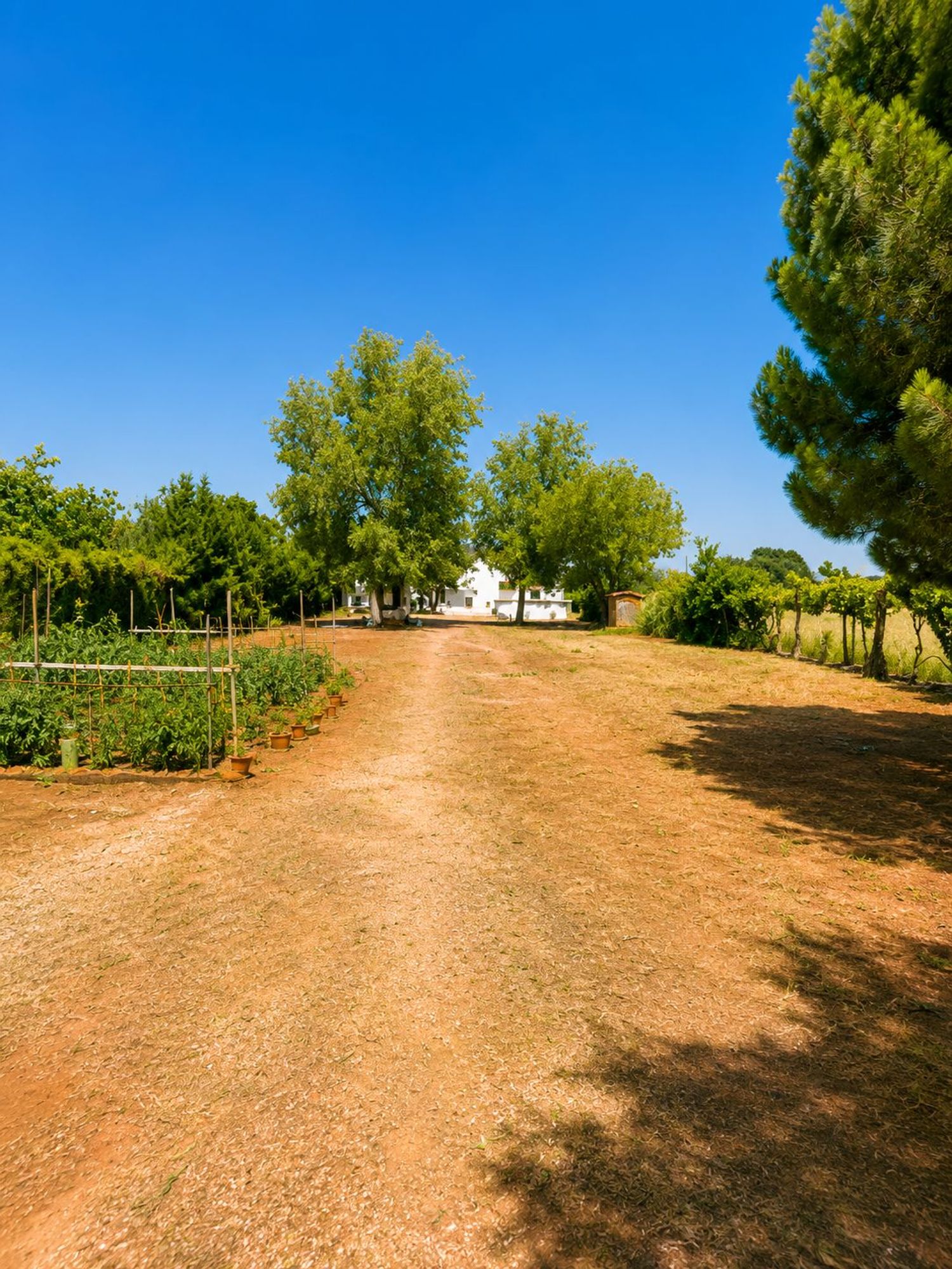 Casa o chalet independiente en N-301 s/n - Foto 7