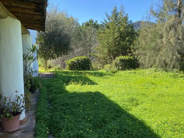 Finca rústica en Ma-8301 s/n - Foto 16