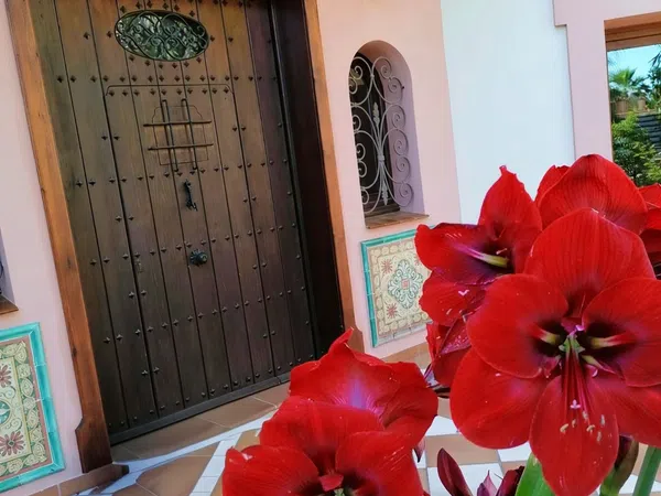 Casa independiente en Carretera, 188 - Foto 3