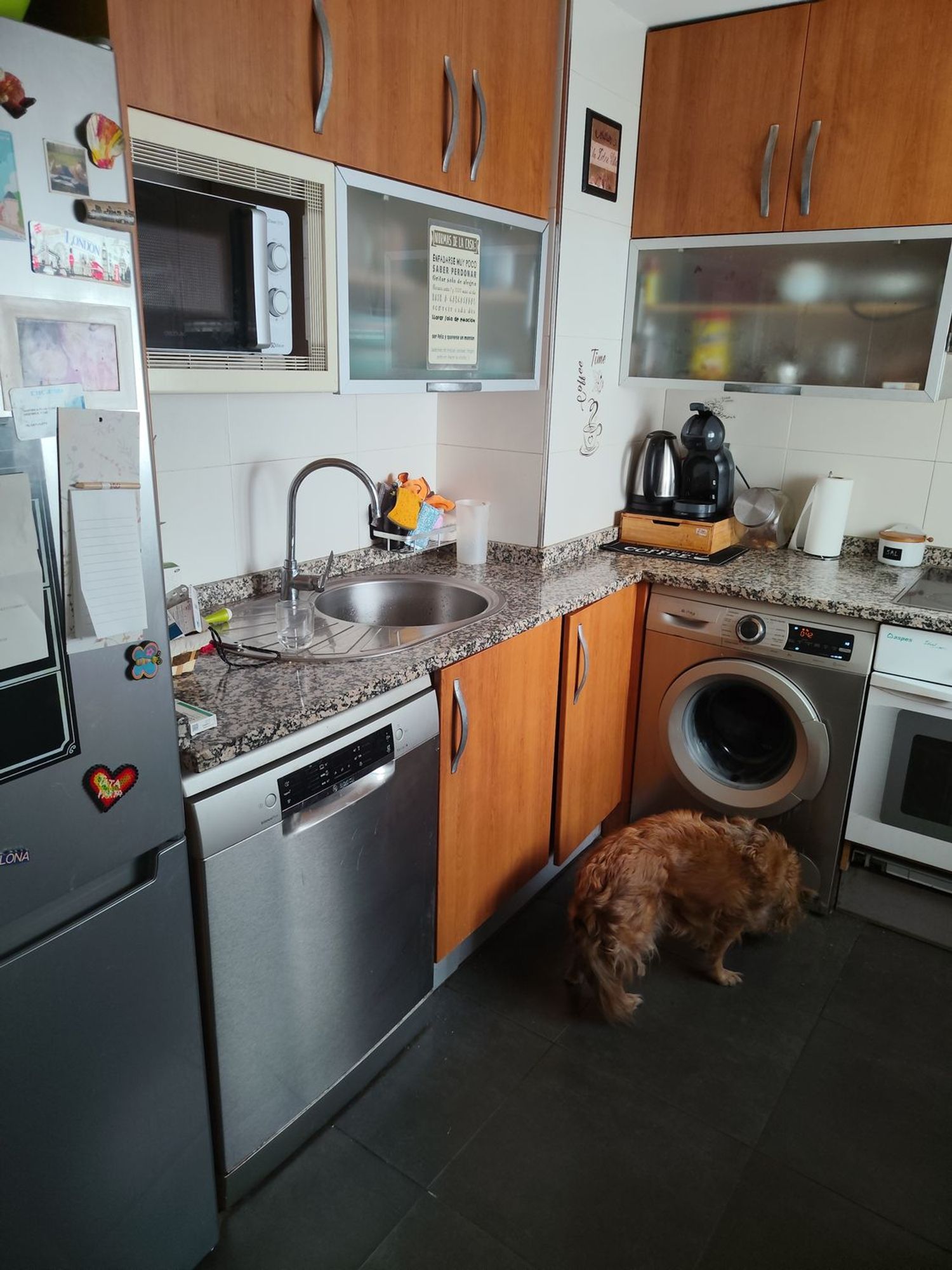 Piso en calle de Pedro Lapuyade, 26 - Foto 7