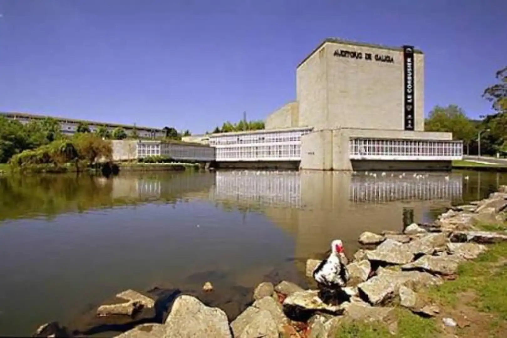 Piso en  Rúa de Ferrol 33 - Foto 11