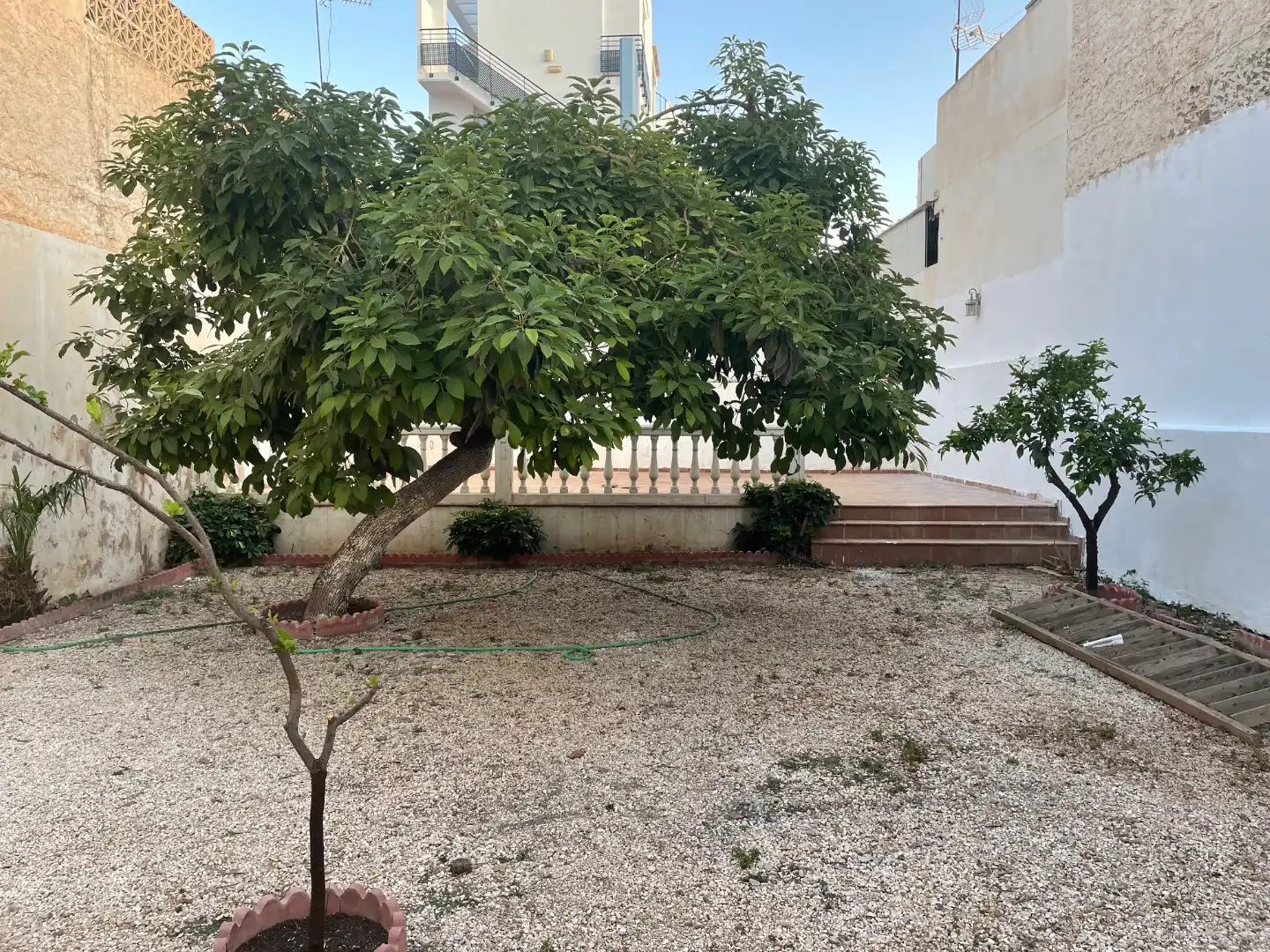 Planta baja en  Avenida Juan Sebastián Elcano 160 - Foto 5