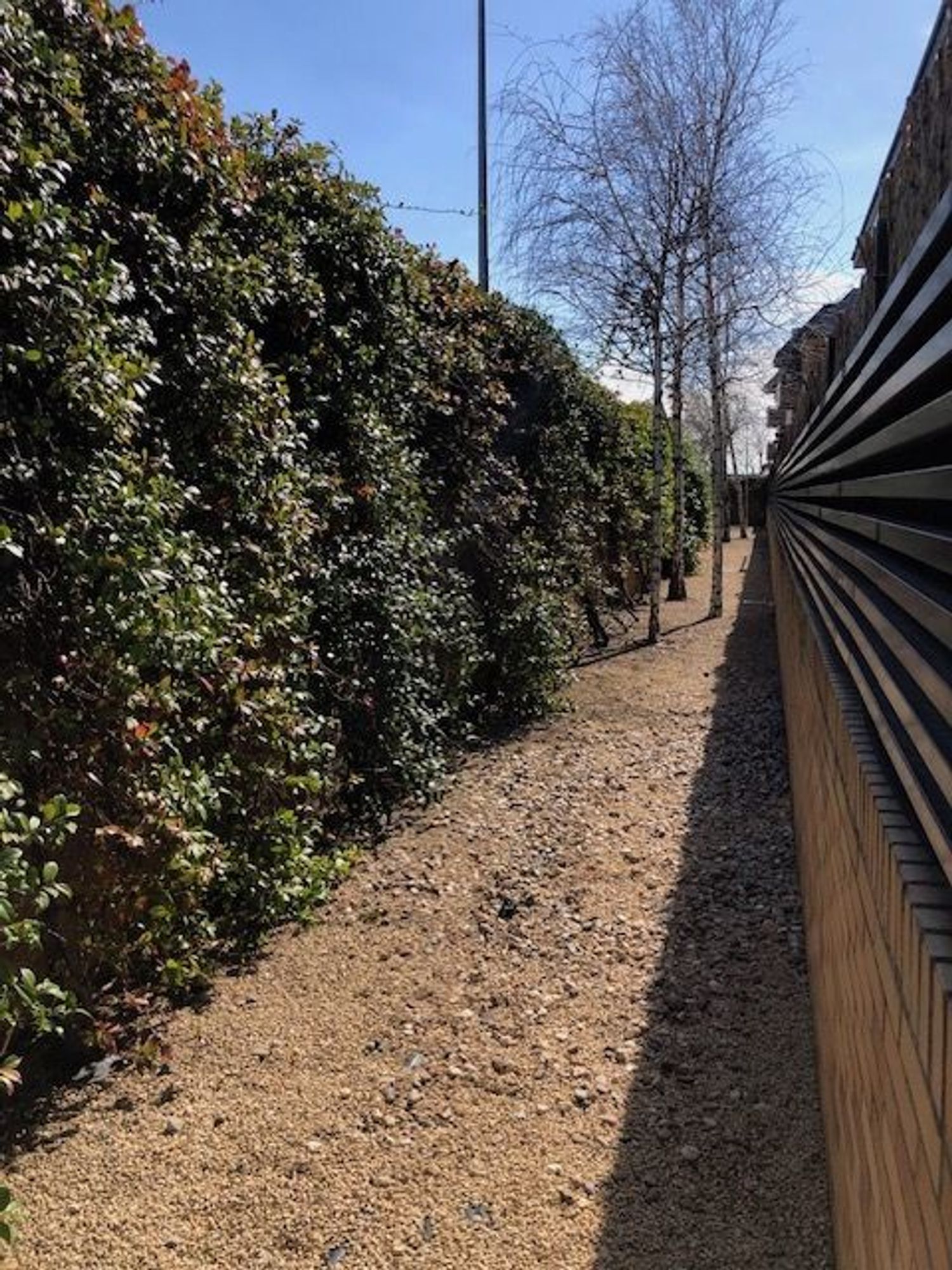 Piso en calle del Doctor Mariano Alcaraz, 5 - Foto 22