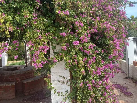 Casa independiente en Av vereda Real, 15 - Foto 6