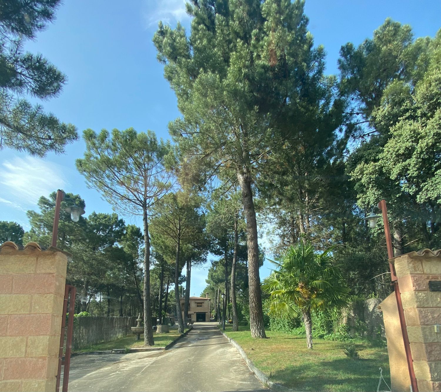 Masía en Pinar De Jabaga, 1 ,2 - Foto 3