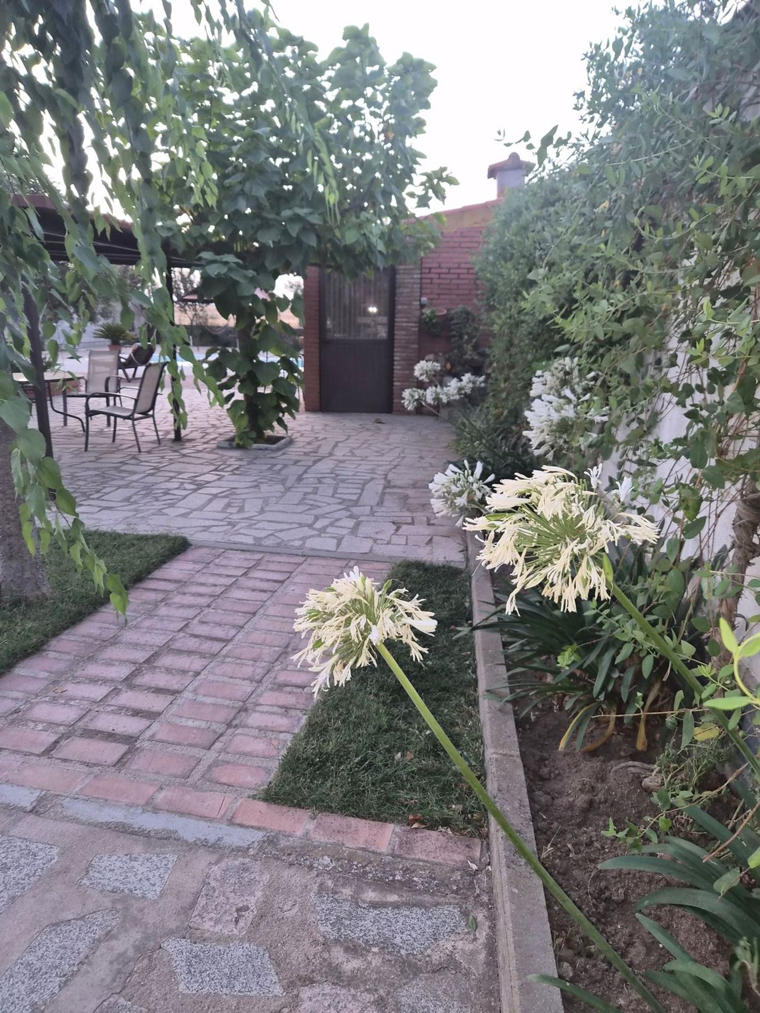 Finca rústica en Calle Virgen de Luna, 84 Diseminado - Foto 7