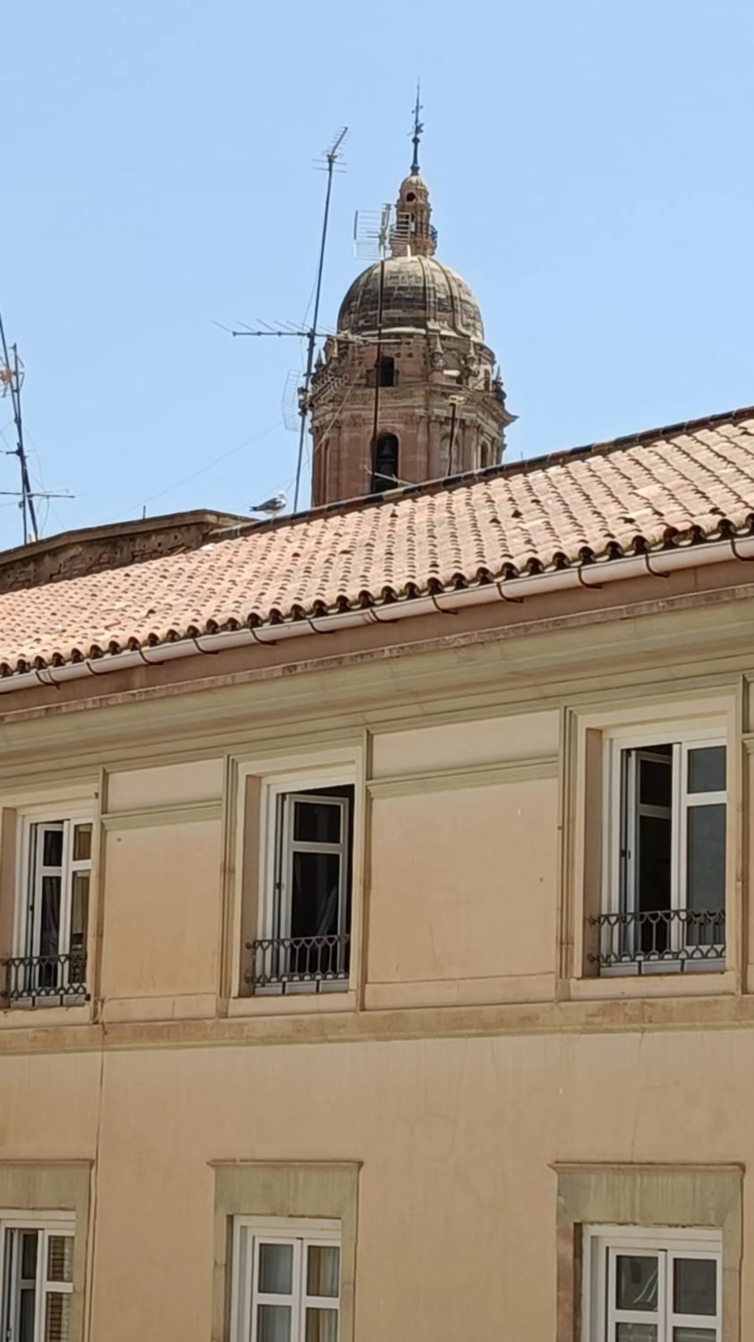 Piso en Barrio Centro Histórico - Foto 12