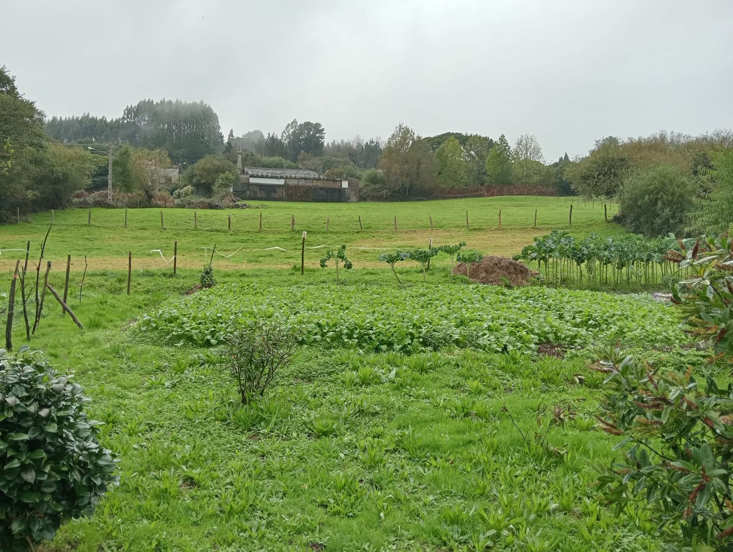 Casa rural en Lg/ Suaermida, 2 - Foto 31