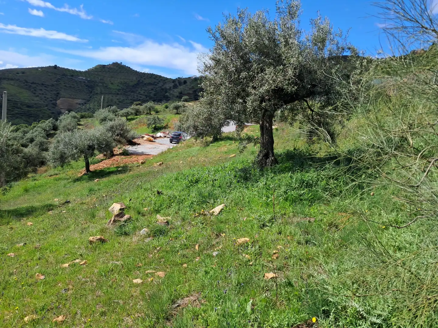 Finca rústica en  Diseminado el Cerval Pol 15 34B - Foto 22