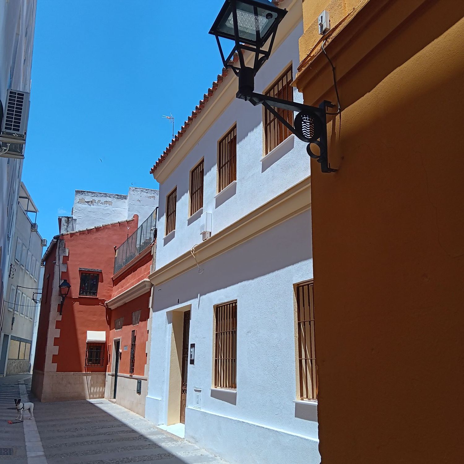 Estudio en Calle Cuatro Juanes, 8 Juderia, Centro - Foto 18