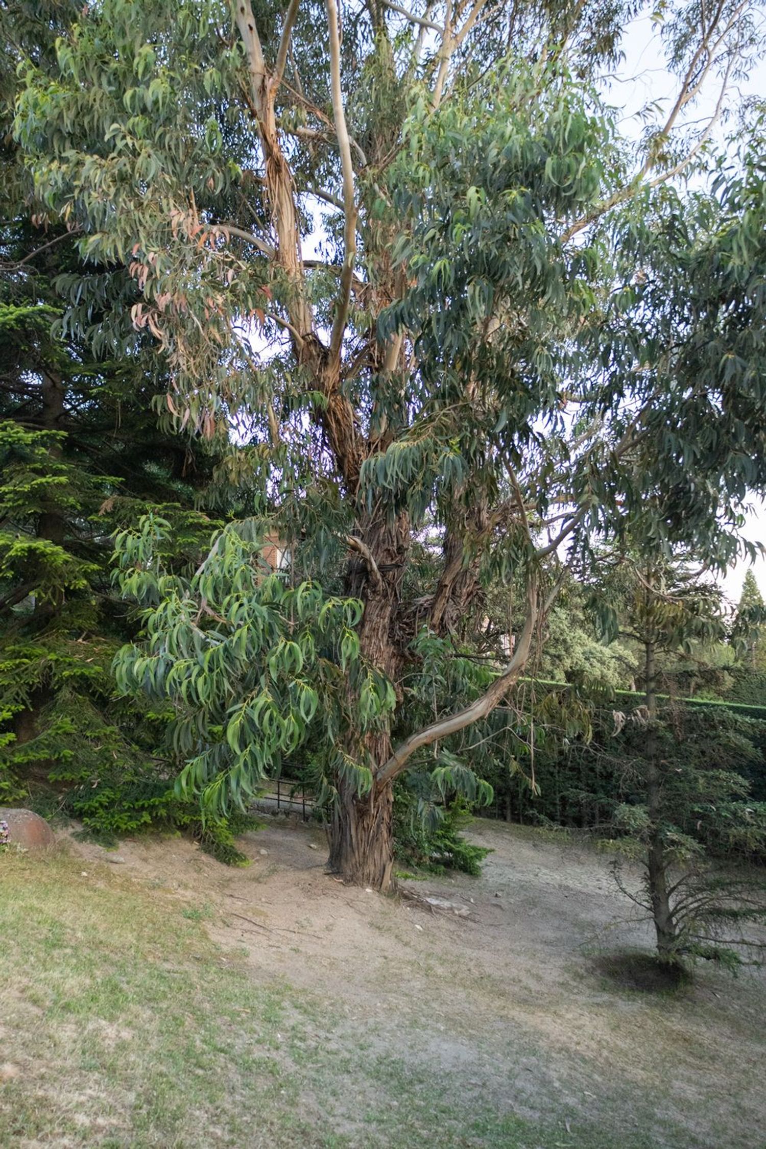 Casa o chalet independiente en Parquelagos - Puente Nuevo, Parquelagos - Puente Nuevo - Foto 11
