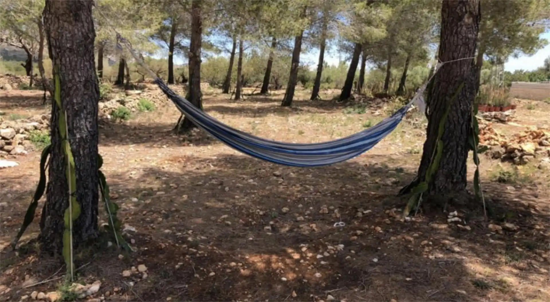 Finca rústica en  Passeig de I'Almadrava 13 - Foto 2